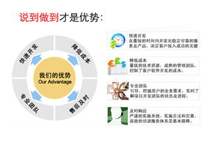 北京软件定制开发 解锁企业专属数字化引擎