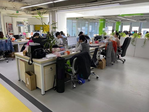 上地西二旗中关村软件园1065平精装办公楼 即租即用，助力软件开发企业高效启航